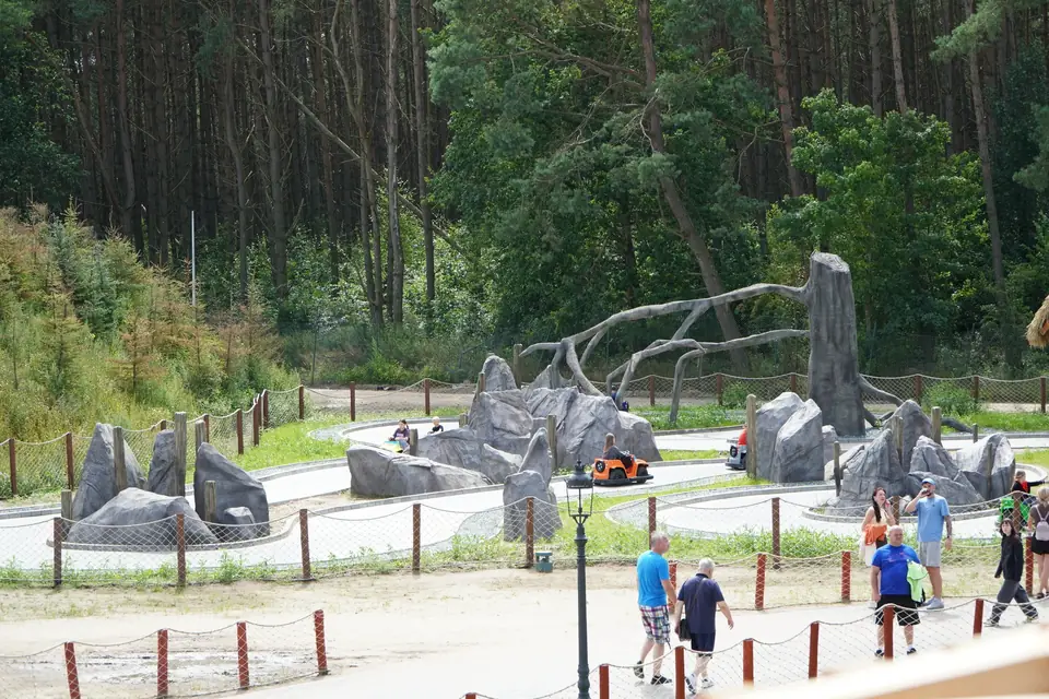Tor dla dzieci wśród sztucznych skał i gigantycznego martwego drewna